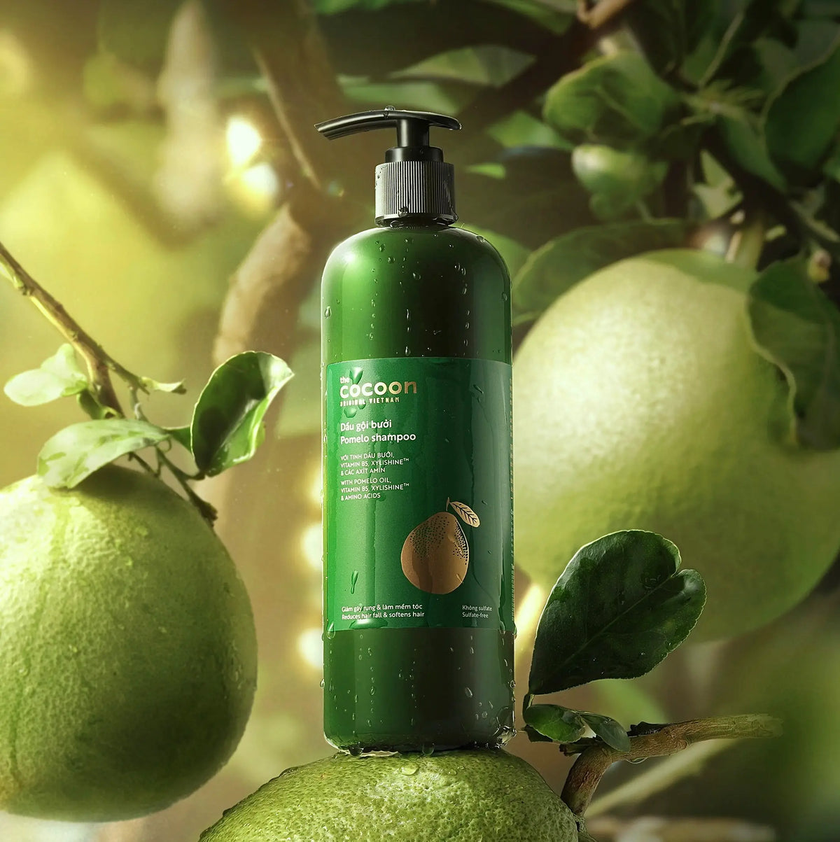 Bộ kích thích mọc tóc – Cocoon Hair Growth Set – 100% Vegan