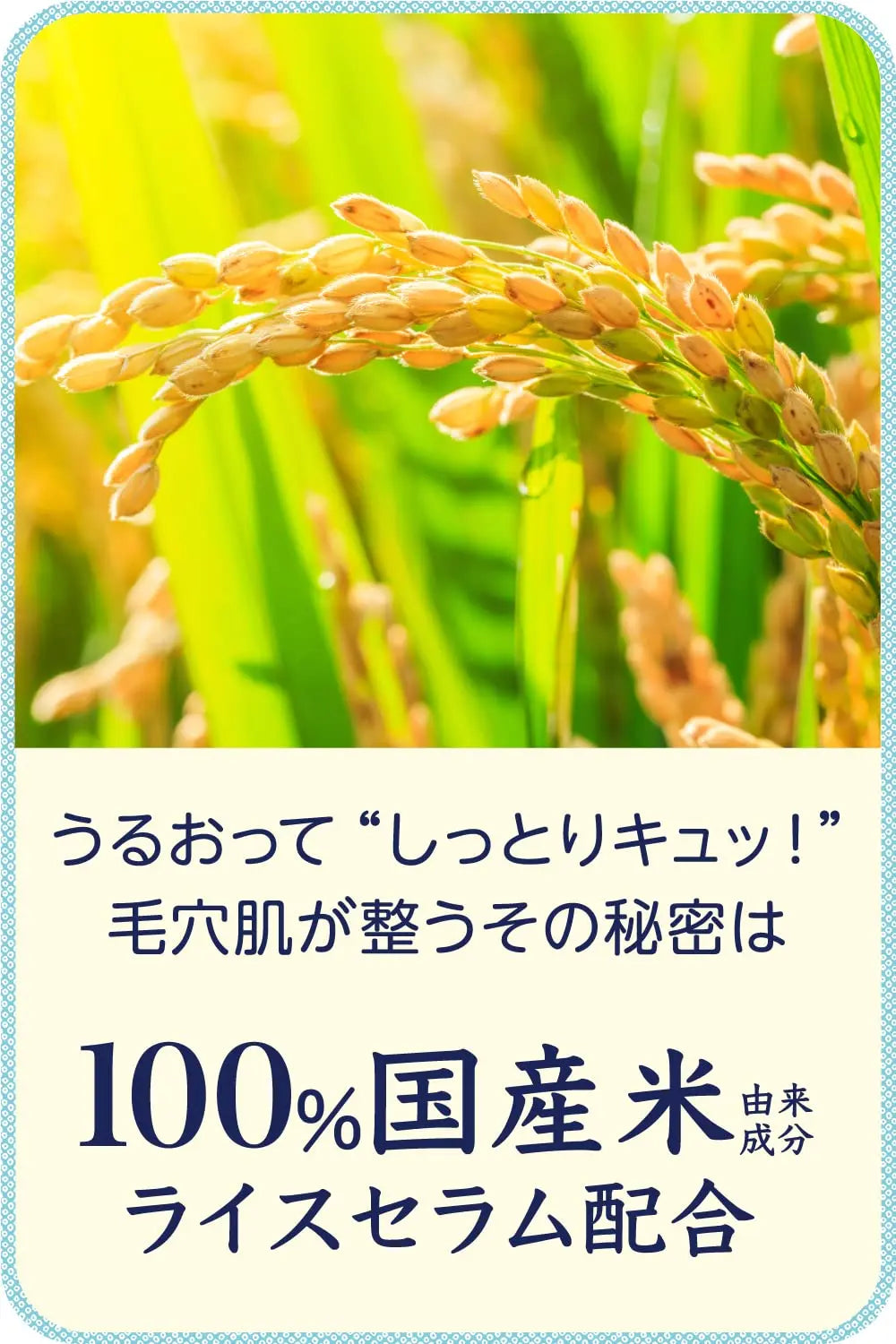 Mạt nạ dưỡng da - Keana Nadeshiko Rice Sheet Mask – 10 Pieces Japan