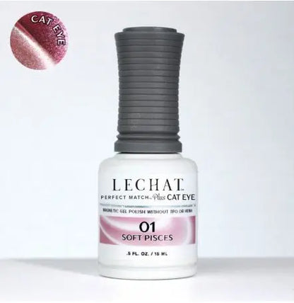 Cat Eye Magnetic Gel Polish 