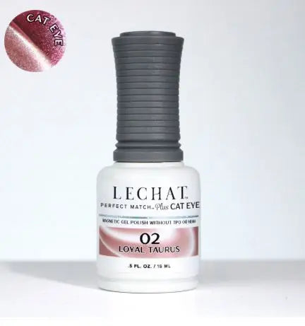 Cat Eye Magnetic Gel Polish 
