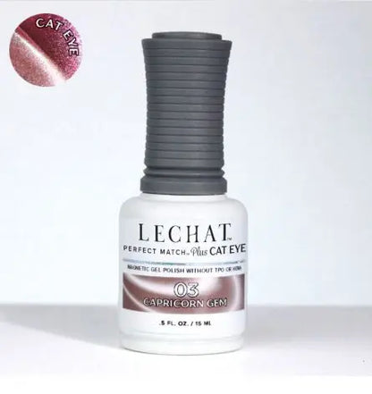 Cat Eye Magnetic Gel Polish 