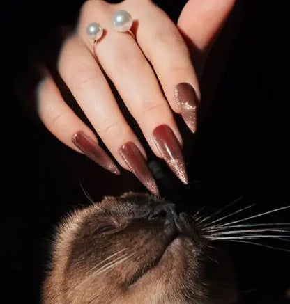 Cat Eye Magnetic Gel Polish 