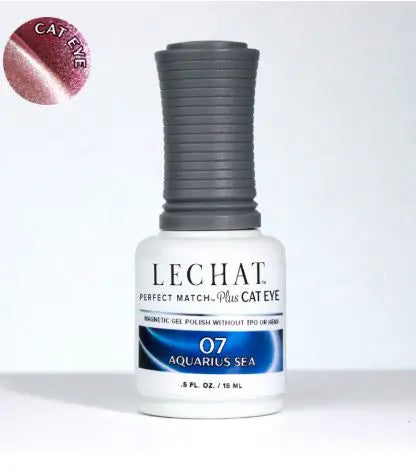 Cat Eye Magnetic Gel Polish 