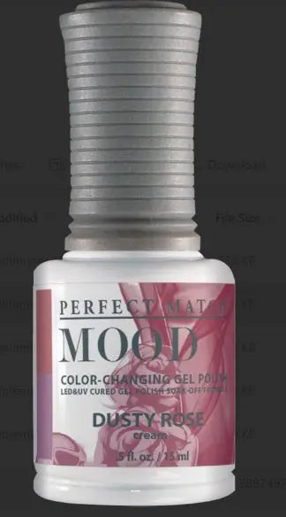 Perfect Match Mood Duo Dusty Rose