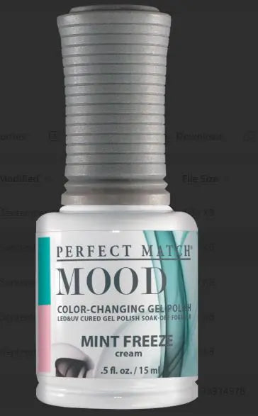 Perfect Match Mood Duo Mint Freeze