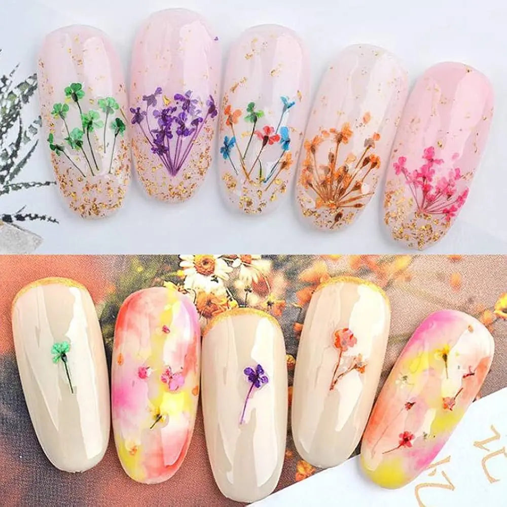 AU NAILS 12-Color Dried Flowers for Nail Art