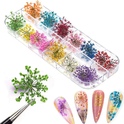 AU NAILS 12-Color Dried Flowers for Nail Art