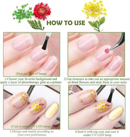 AU NAILS 12-Color Dried Flowers for Nail Art