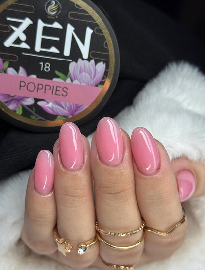 KaZEN | Builder Gel Winter Garden Collection 