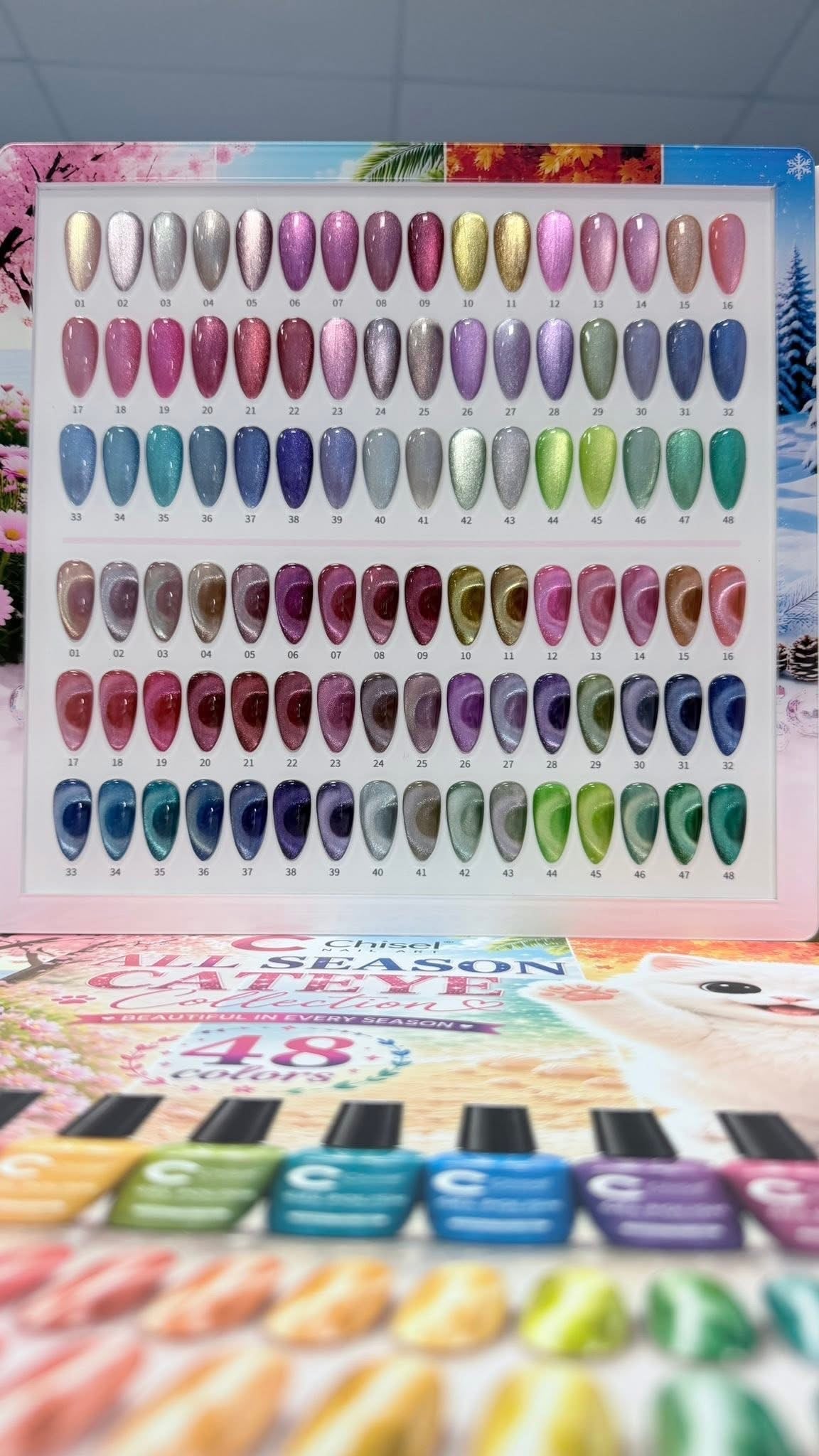 All season Cateye Collection