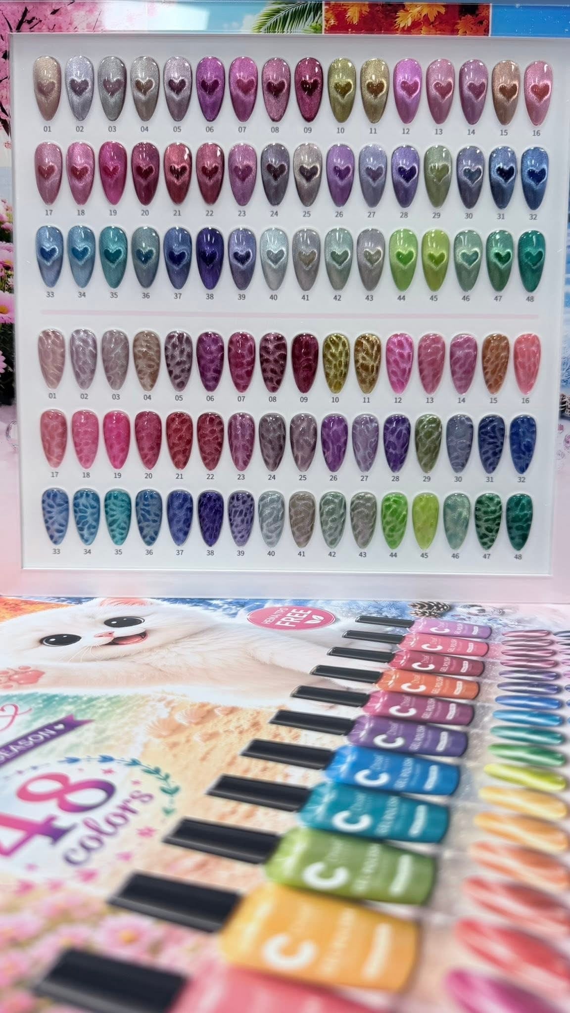 All season Cateye Collection