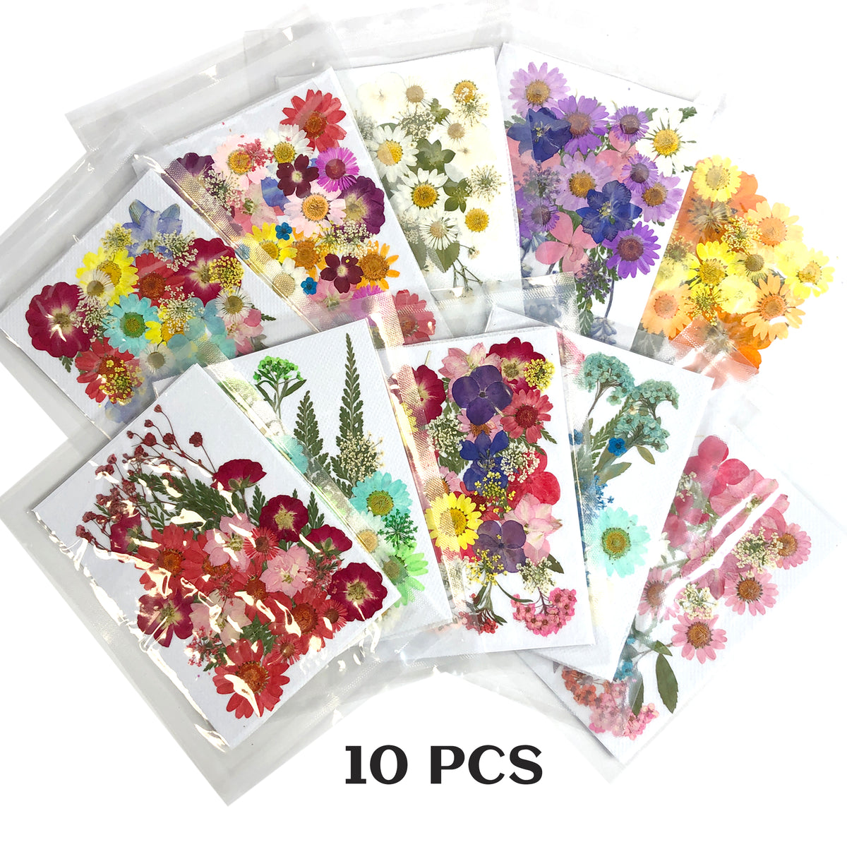 [CLEARANCE - NO REFUND/NO RETURN] Dried Flower - set 10 colors