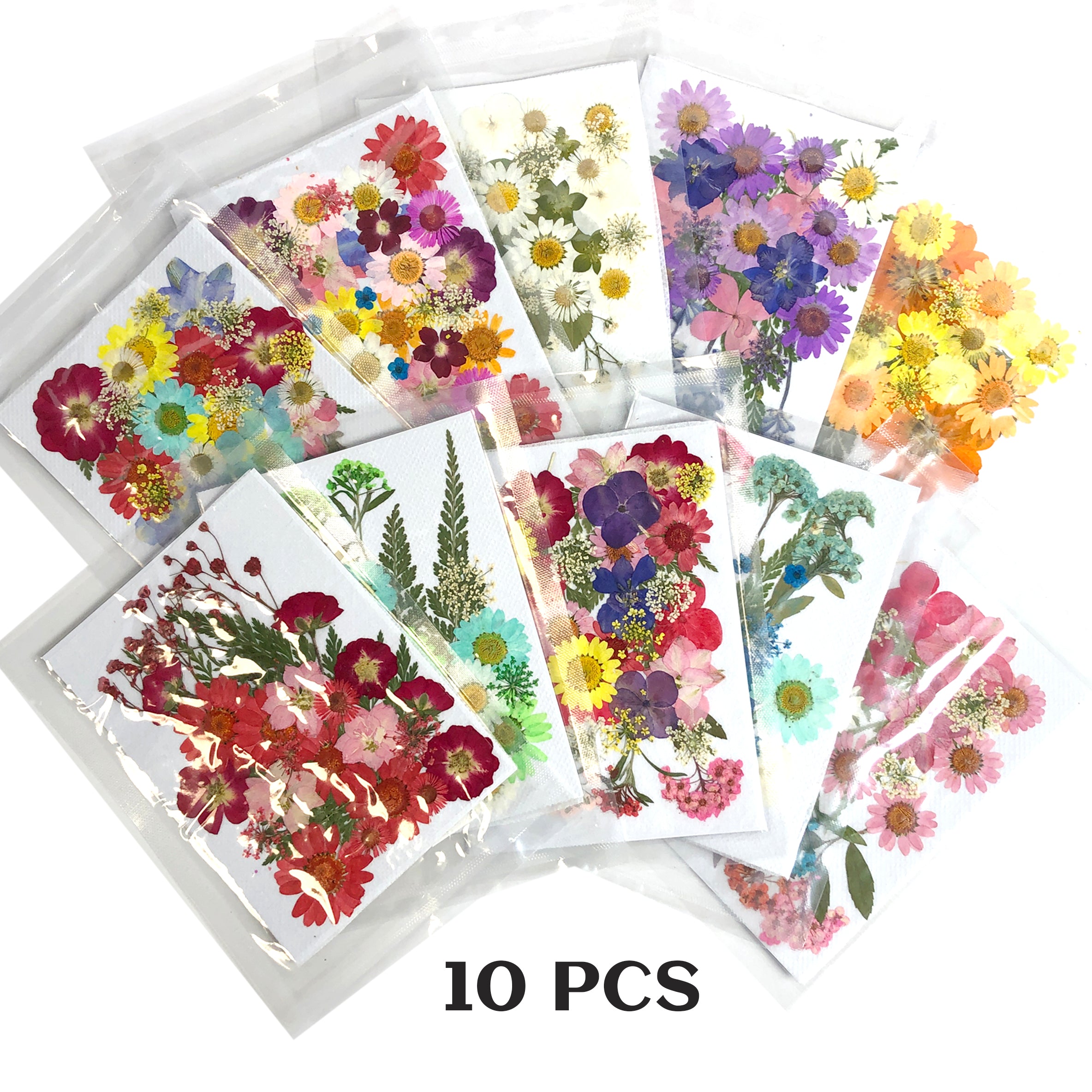 [CLEARANCE - NO REFUND/NO RETURN] Dried Flower - set 10 colors