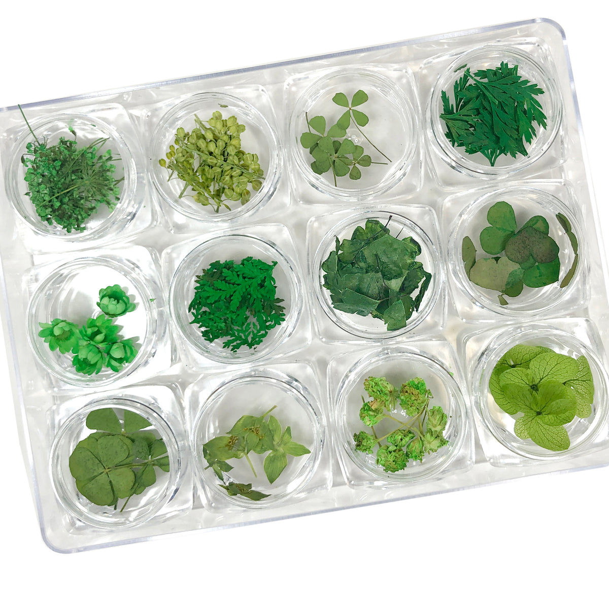 [CLEARANCE - NO REFUND/NO RETURN] Dry Leaf