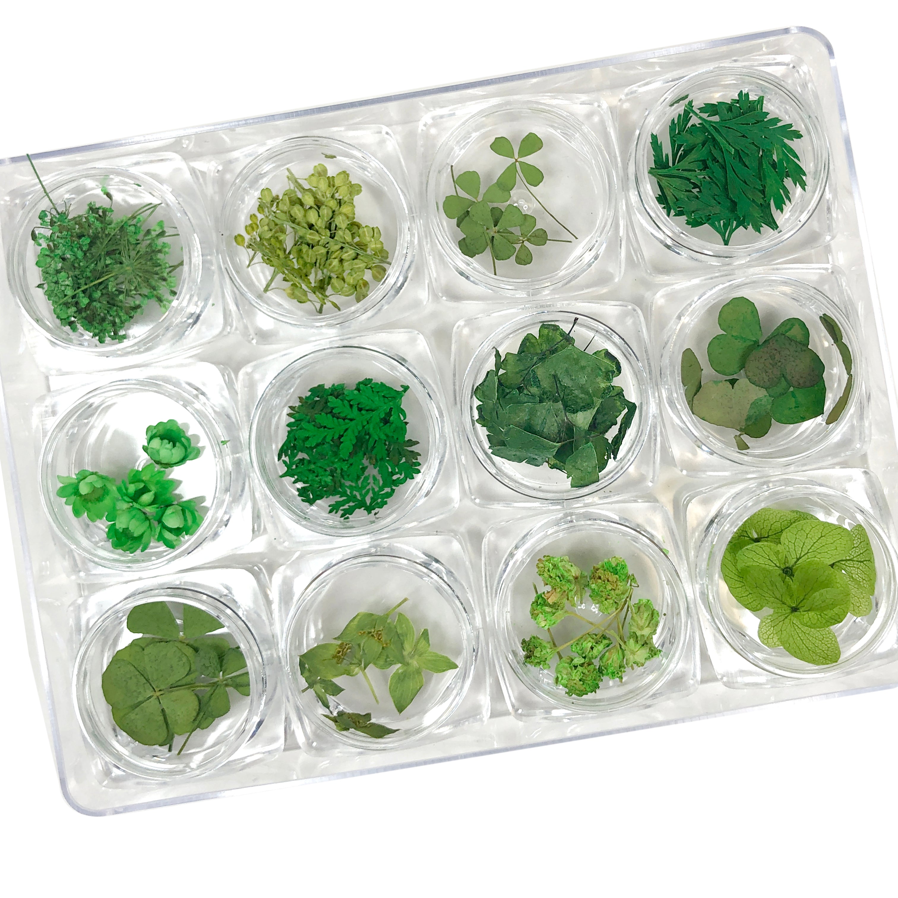 [CLEARANCE - NO REFUND/NO RETURN] Dry Leaf