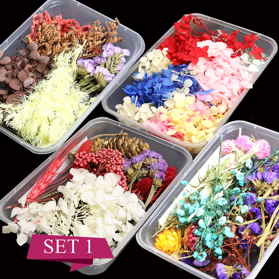 [CLEARANCE - NO REFUND/NO RETURN] Dry Flower , Leaf Box