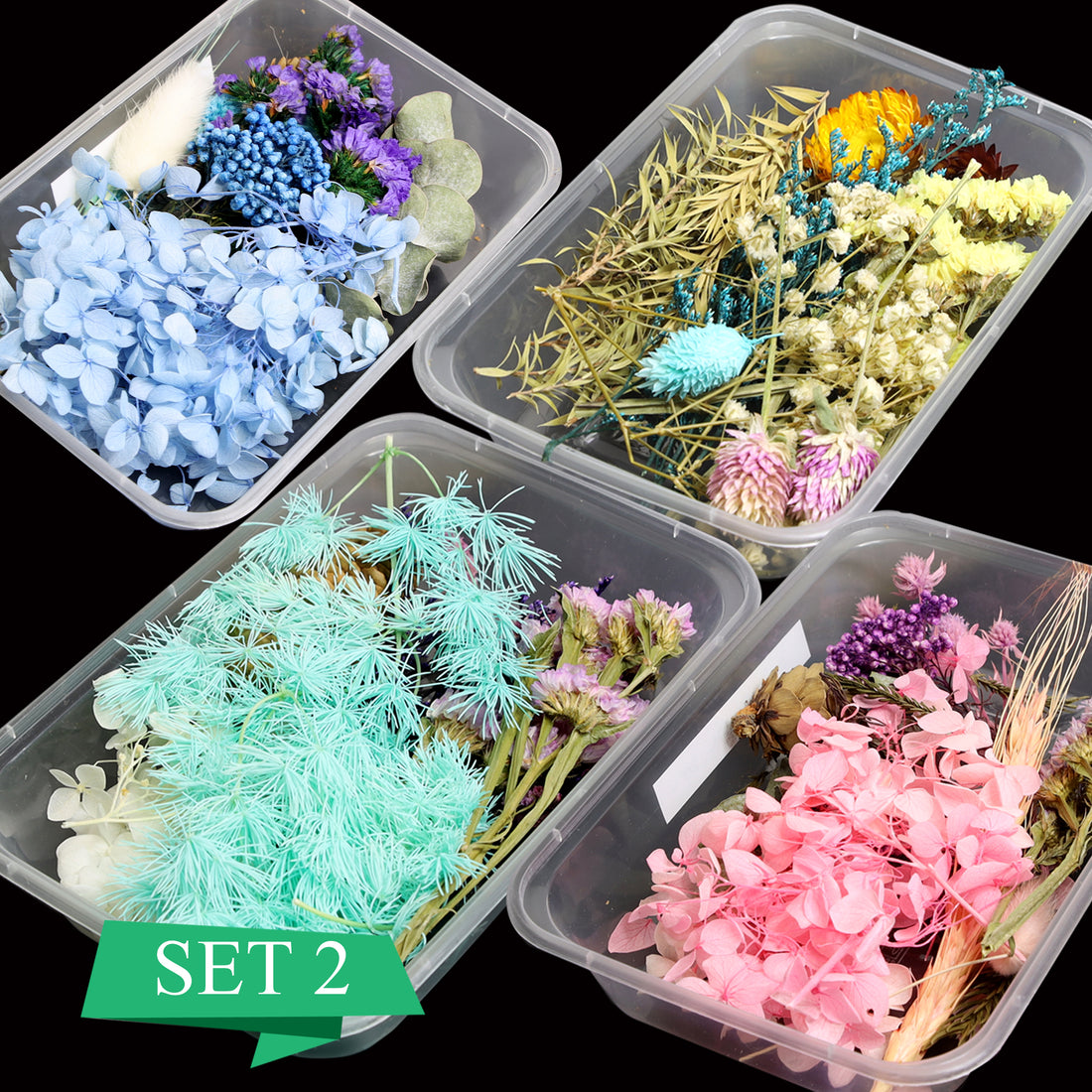 [CLEARANCE - NO REFUND/NO RETURN] Dry Flower , Leaf Box