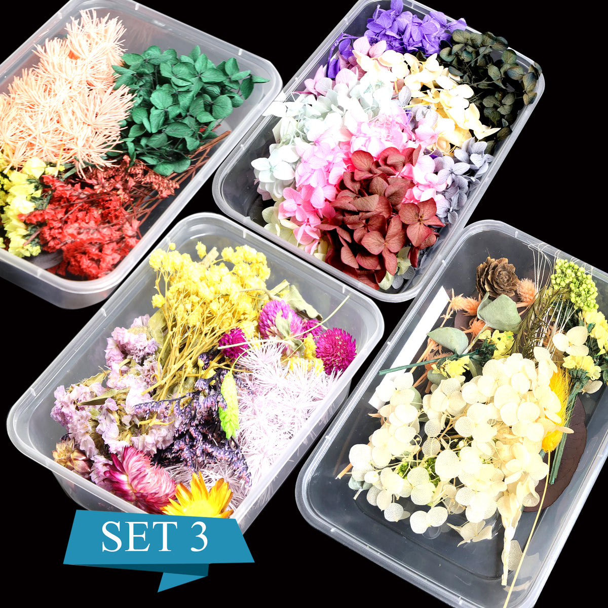 [CLEARANCE - NO REFUND/NO RETURN] Dry Flower , Leaf Box