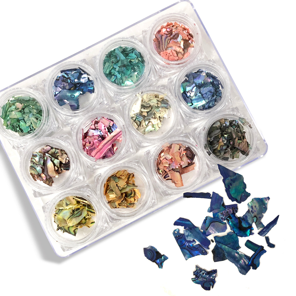 [CLEARANCE - NO REFUND/NO RETURN] SeaShell Nail Art (set 12 colors)